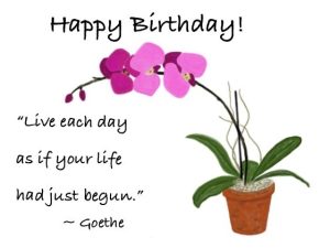 orchid - birthday stationary