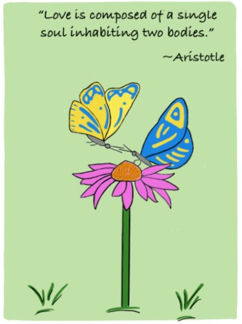 butterflies