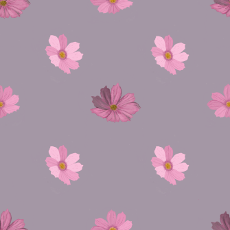 cosmos gift wrap