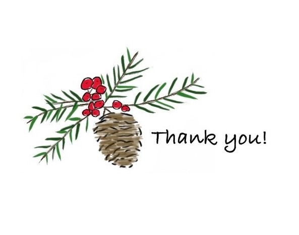 pinecone