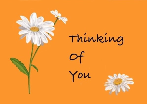 thinking of you orange