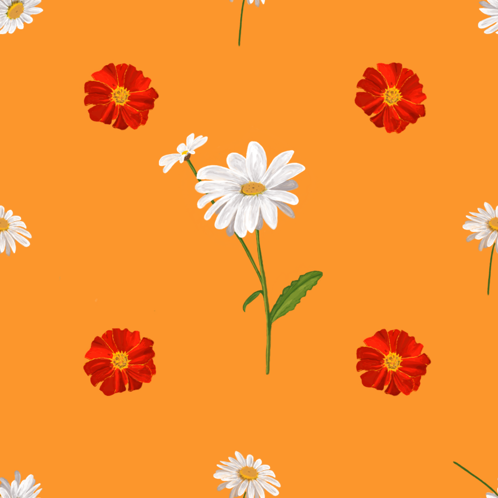 white daisy gift wrap