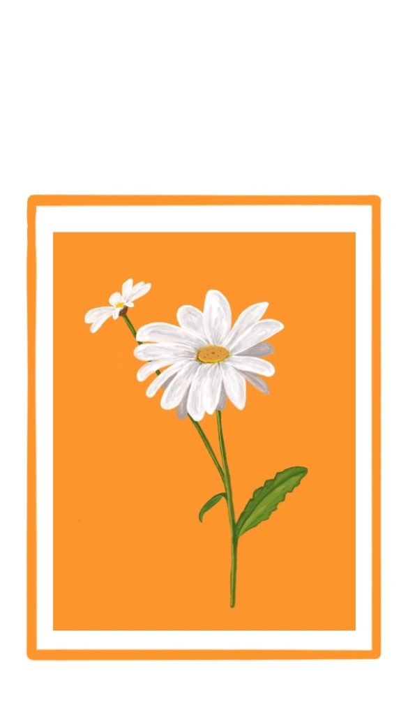 white daisy gift tag