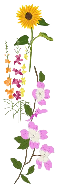 flowers